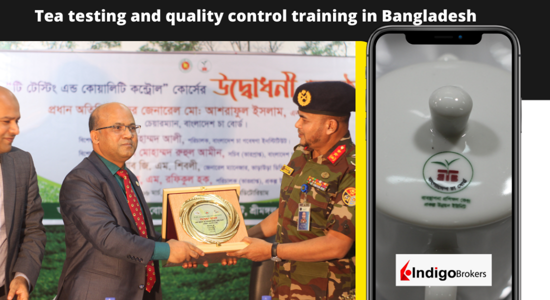 Tea testing and quality control training in Bangladesh