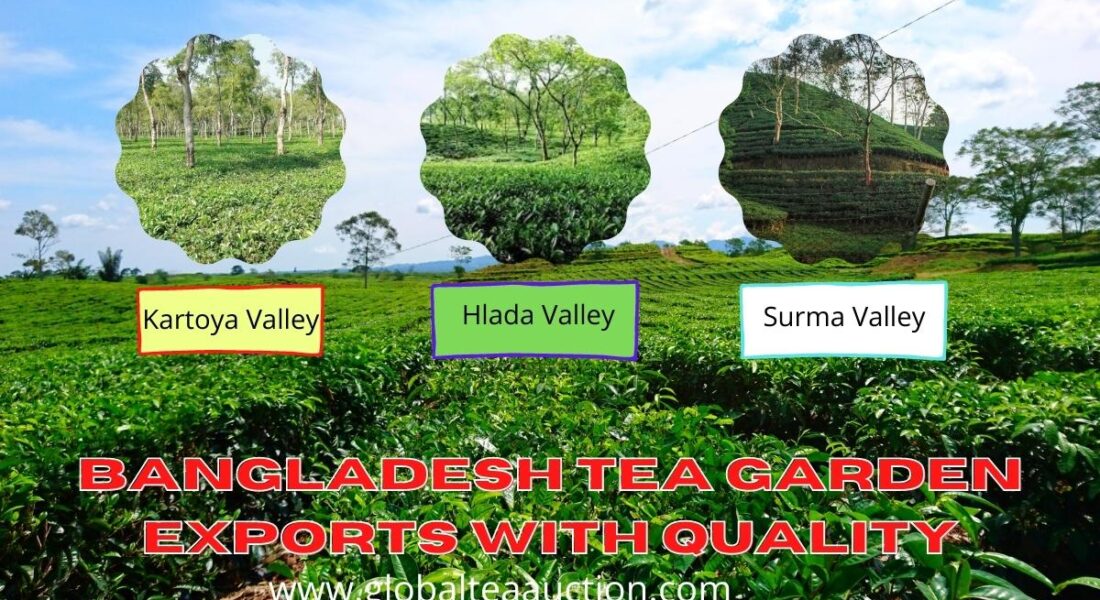 Export tea from Bangladesh and import high-quality tea through easy.