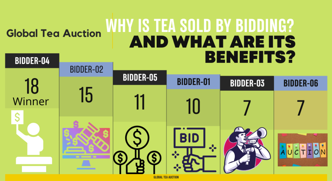 Why is tea sold by bidding And what are its benefits?