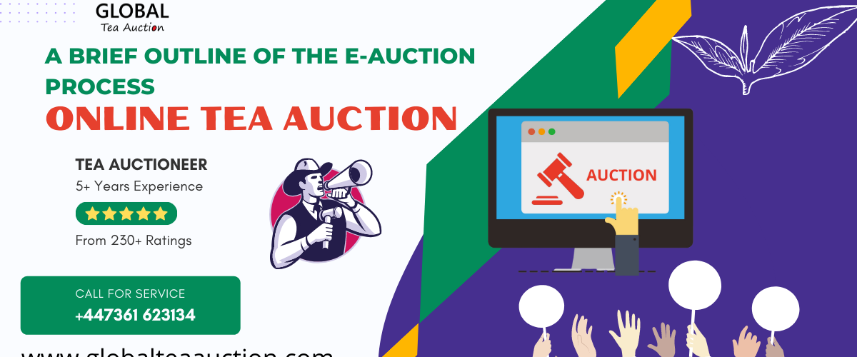 A brief outline of the e-Auction process