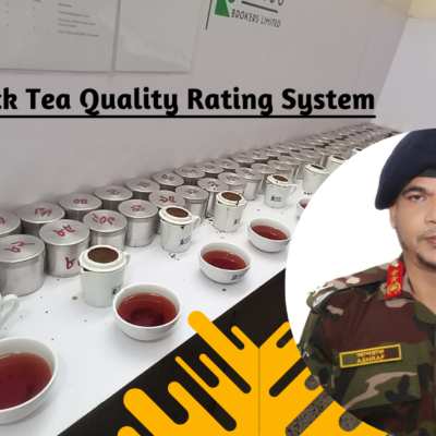 CTC Black Tea Quality Rating System