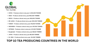 Top 10 tea producing countries 