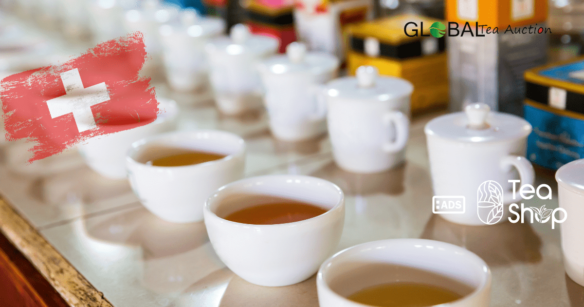A Beginner's Guide to Tea Tasting in Switzerland