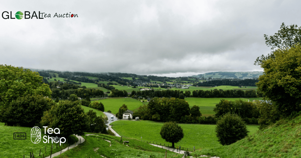 A Strong Preference for Organic and Ethical Sourcing