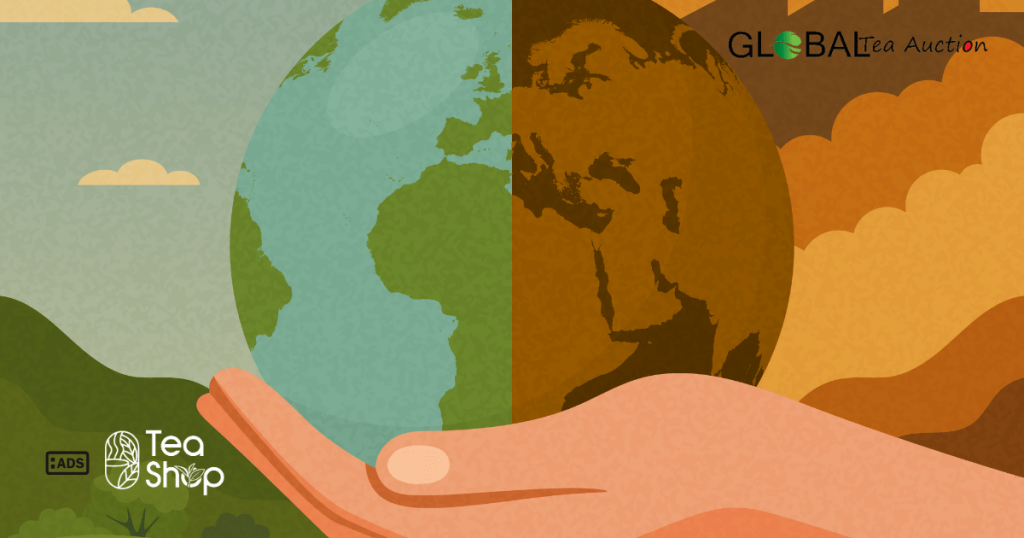 A complete guide on the climate and soil requirements for tea farming in the United States including temperature needs