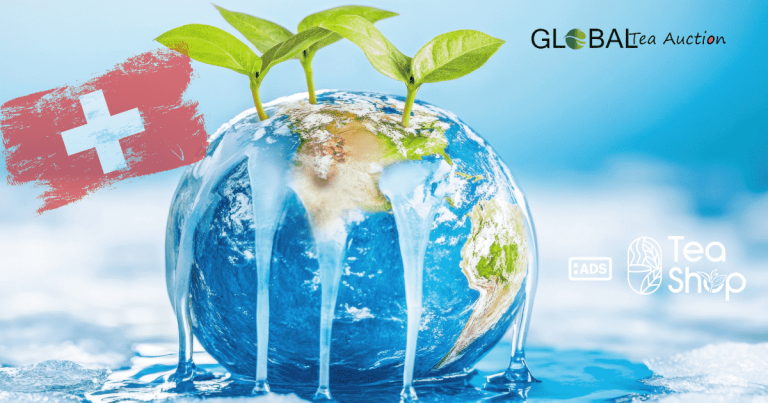 Can You Grow Tea in Switzerland_ Climate, Regions & Yield