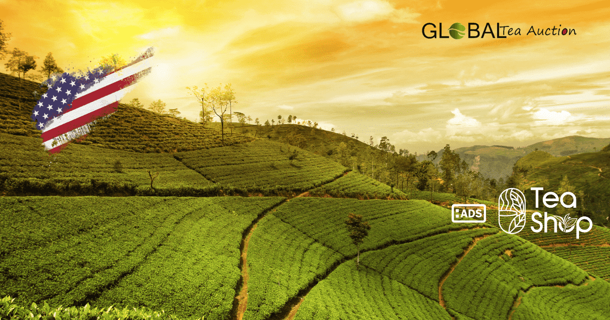 Climate Requirements for Tea Farming in the United States_ Soil, Temperature & Rainfall