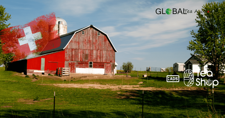 Is Tea Farming Profitable in Switzerland_ Cost & Market Demand