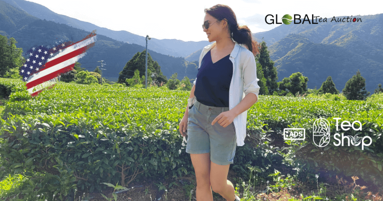 Is Tea Farming Profitable in the United States_ Cost, Yield & Market Demand