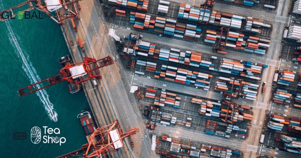 Key Asian Regions Supplying Switzerland's Tea