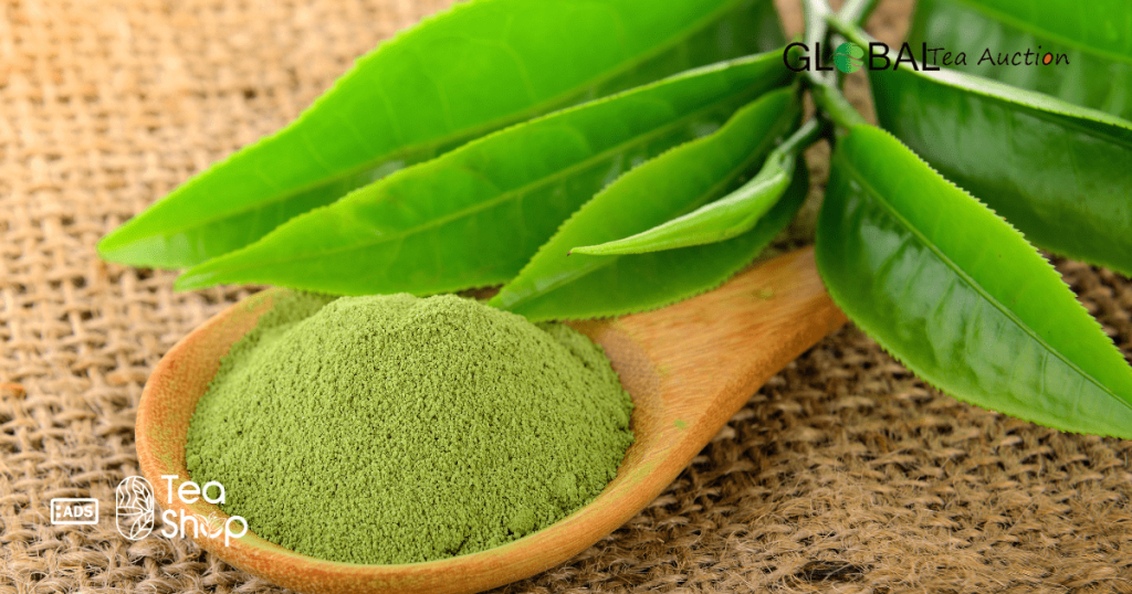 Organic Tea Export Countries