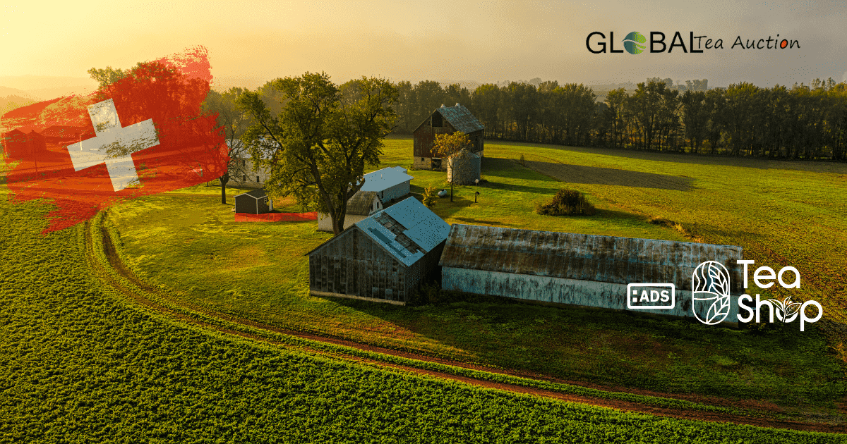 Swiss Tea & Herbal Farms_ A Complete Industry Guide