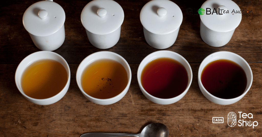 Tea Tasting Guide for Beginners in Australia