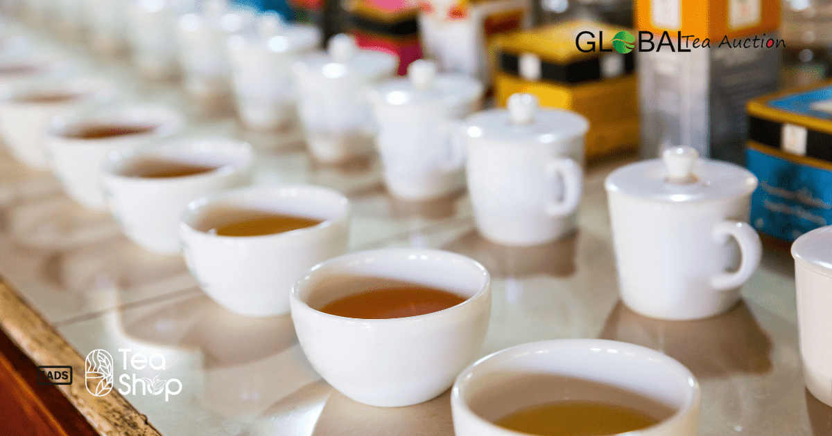 Tea Tasting Guide for Beginners in Australia Flavors, Notes & Tools