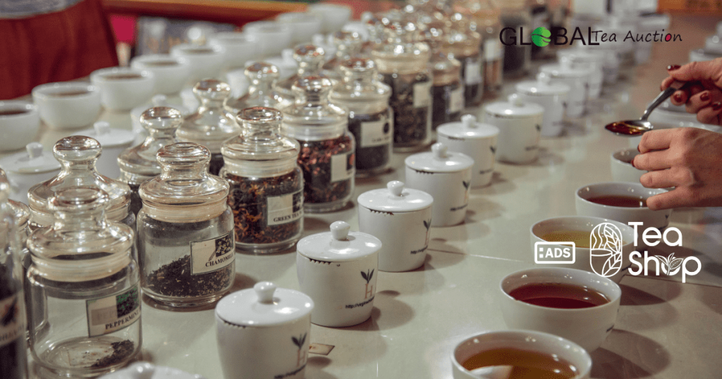Tea Tasting Guide for Beginners in Australia_ Flavors, Notes & Tools