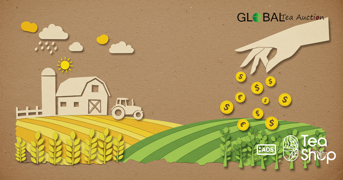 sustainable tea farming methods that produce high-quality tea