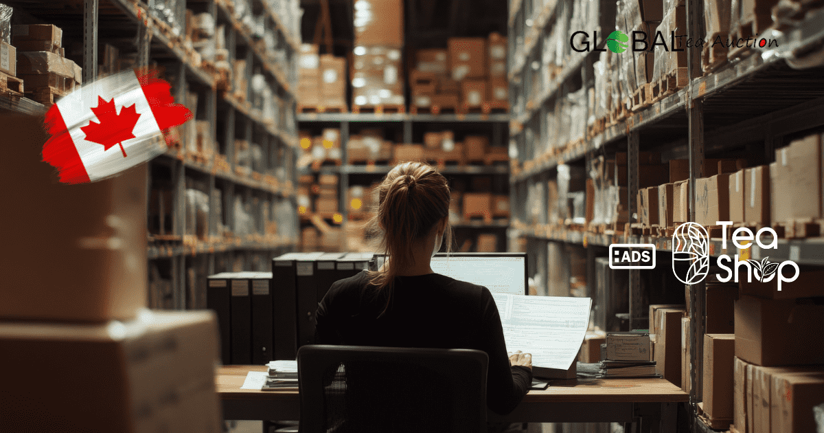Canada’s Tea Subscription Box Market_ Pricing, Supplier Sources & Fulfillment