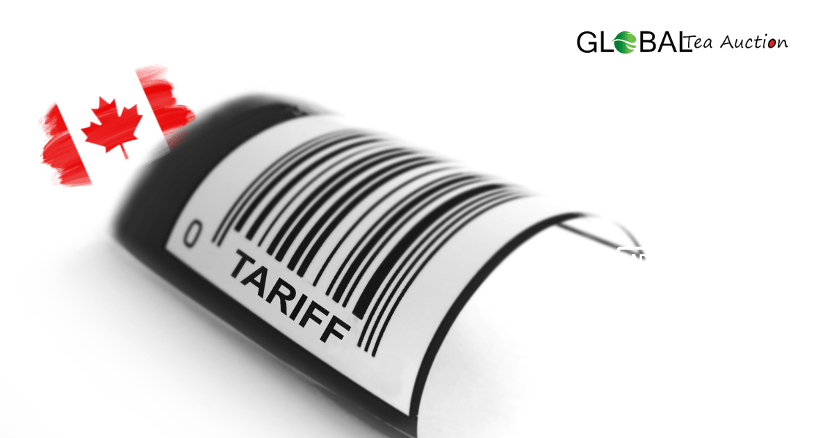 Canada's Tea Tariffs & HS Codes Explained