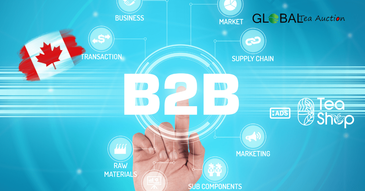 Canadian Tea Wholesale Pricing_ Bulk Rates, Margins & B2B Market Trends