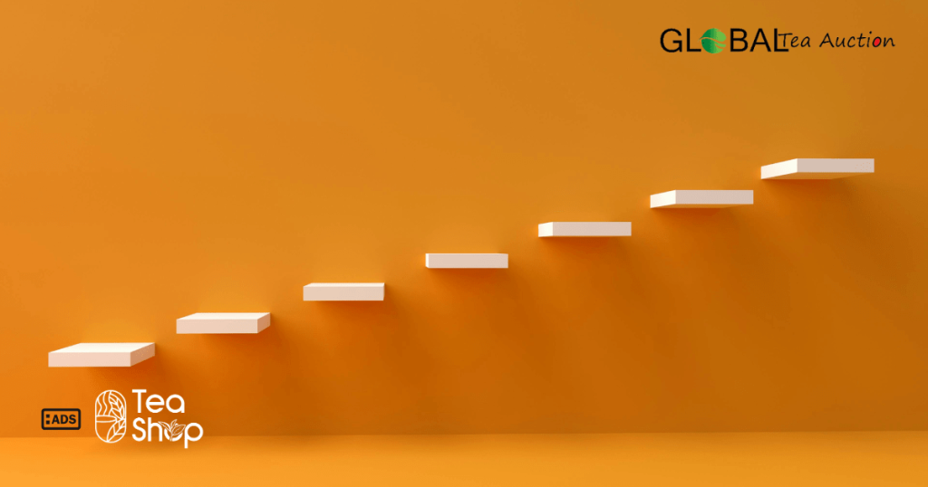 How to Start a Wholesale Tea Distribution Business in Canada