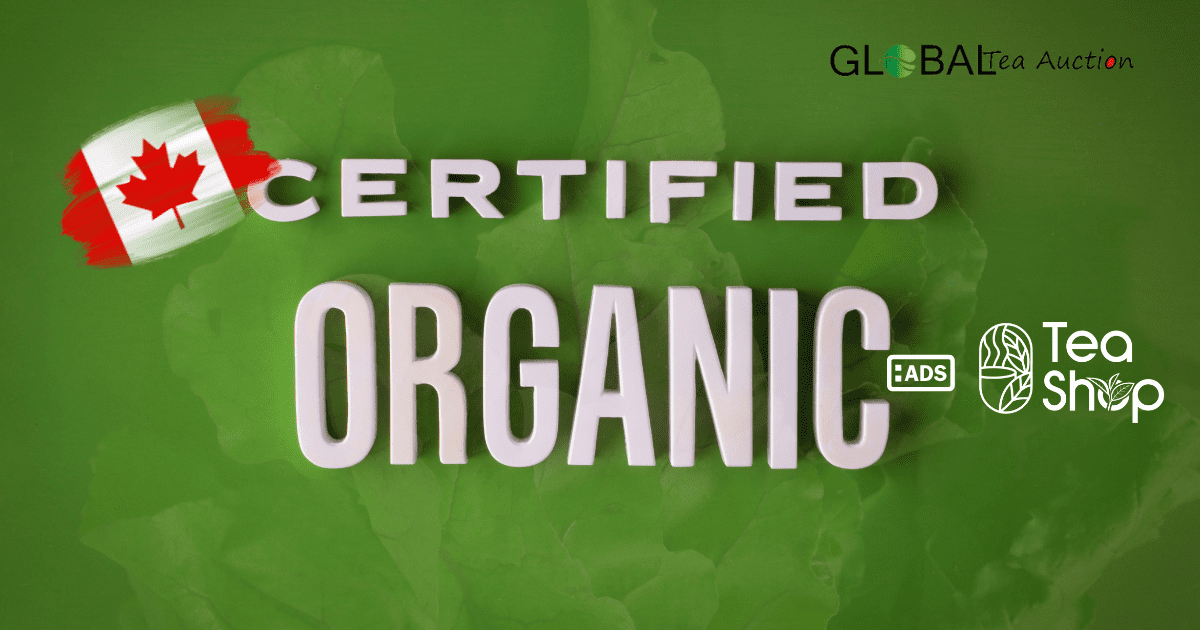 Importing Organic Tea to Canada_ A Complete Guide