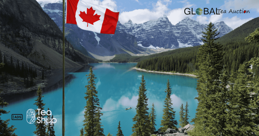 Where to Stay_ Accommodations for the Tea Tourist